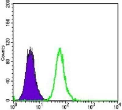 Flow Cytometry: Dkk-3 Antibody (4G7) [NBP1-51605] - Flow cytometric analysis of MCF-7 cells using anti-DKK3 mAb (green) and negative control (purple).