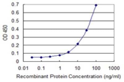 Sandwich ELISA: Doc2-alpha Antibody (3C11) [H00008448-M01] - Detection limit for recombinant GST tagged DOC2A is 1 ng/ml as a capture antibody.