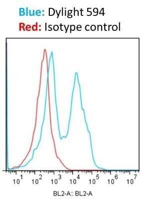 Flow Cytometry: Donkey anti-Rabbit IgG (H+L) Secondary Antibody [DyLight 594] (Pre-adsorbed) [NBP1-75642] - Analysis of LM7 cells using Donkey anti-Rabbit IgG (H+L) Secondary Antibody [DyLight 594] (Pre-adsorbed). Image from verified customer review.