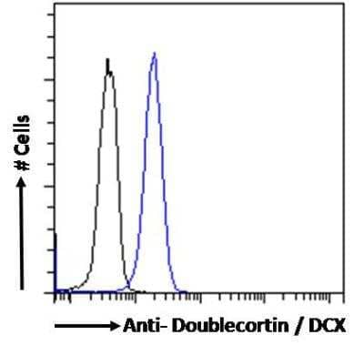 Flow Cytometry: Doublecortin Antibody [NBP2-69992] - Flow cytometric analysis of paraformaldehyde fixed Kelly cells (blue line), permeabilized with 0.5% Triton. Primary incubation 1hr (10 ug/mL) followed by Alexa Fluor 488 secondary antibody (1 ug/mL). IgG control: Unimmunized goat IgG (black line) followed by Alexa Fluor 488 secondary antibody.