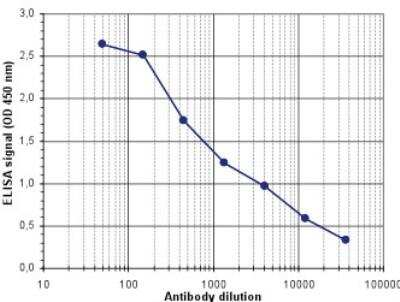 ELISA: Dre recombinase Antibody [NBP3-11868] - To determine the titer, an ELISA was performed using a serial dilution of NBP3-11868 in antigen coated wells. By plotting the absorbance against the antibody dilution, the titer of the antibody was estimated to be 1:1,850.