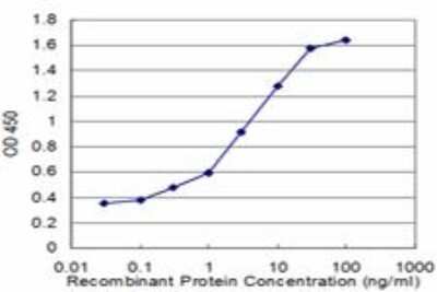 Sandwich ELISA: Drebrin 1 Antibody (2E11) [H00001627-M03] - Detection limit for recombinant GST tagged DBN1 is approximately 0.1ng/ml as a capture antibody.