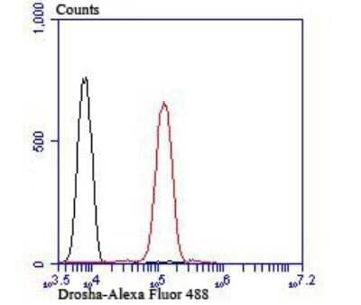 Flow Cytometry: Drosha Antibody (JU33-01) [NBP2-75475] - Analysis of Jurkat cells with Drosha antibody at 1/100 dilution (red) compared with an unlabelled control (cells without incubation with primary antibody; black).