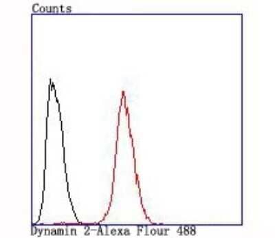Flow Cytometry: Dynamin 2 Antibody (JM61-38) [NBP2-66813] - Analysis of Hela cells with Dynamin 2 antibody at 1/100 dilution (red) compared with an unlabelled control (cells without incubation with primary antibody; black).