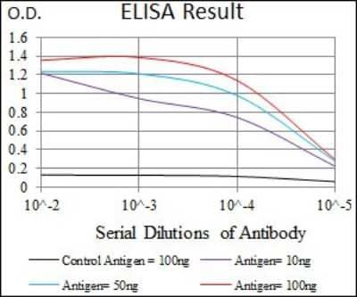 ELISA: Dynein light chain 4 Antibody (3B7B7) [NBP2-37390] - Red: Control Antigen (100ng); Purple: Antigen (10ng); Green: Antigen (50ng); Blue: Antigen (100ng);