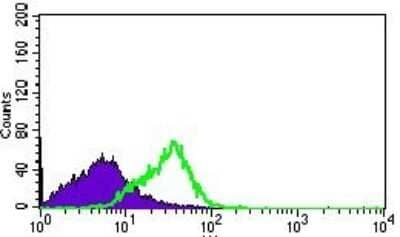 Flow Cytometry: Dynein light chain 4 Antibody (3B7B7) [NBP2-37390] - Flow cytometric analysis of HEK293 cells using DNAL4 mouse mAb (green) and negative control (purple).