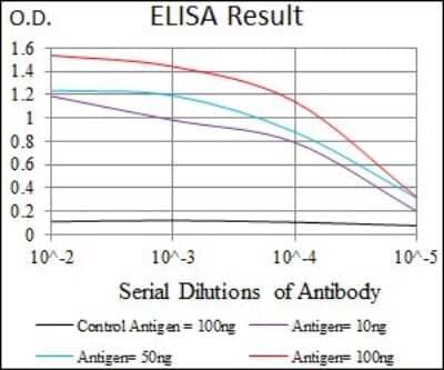 ELISA: Dynein light chain 4 Antibody (3C10A4) [NBP2-37389] - Red: Control Antigen (100ng); Purple: Antigen (10ng); Green: Antigen (50ng); Blue: Antigen (100ng);