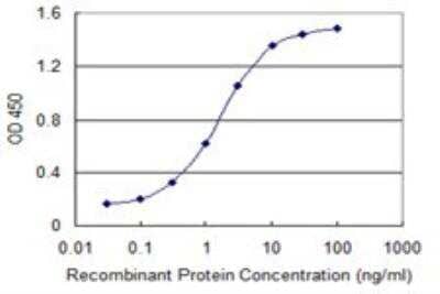 ELISA: Dyrk1B Antibody (2E8) [H00009149-M10] - Detection limit for recombinant GST tagged DYRK1B is 0.03 ng/ml as a capture antibody.