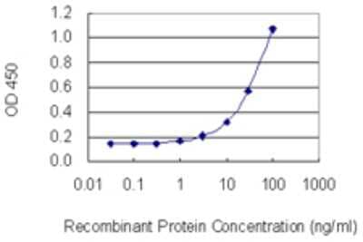 Sandwich ELISA: Dysbindin Antibody (1B4) [H00084062-M02] - Detection limit for recombinant GST tagged DTNBP1 is 1 ng/ml as a capture antibody.