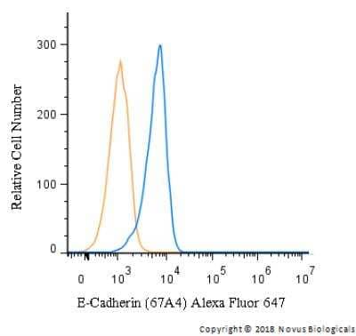 Flow Cytometry: E-Cadherin Antibody (67A4) [Alexa Fluor® 647] [NBP1-42793AF647] - A surface stain was performed on A549 cells with E-Cadherin Antibody (67A4) NBP1-42793AF647 (blue) and a matched isotype control (orange). Cells were incubated in an antibody dilution of 5 ug/mL for 20 minutes at room temperature. Both antibodies were conjugated to Alexa Fluor 647.