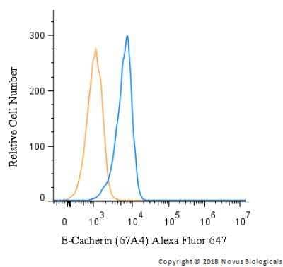 Flow Cytometry: E-Cadherin Antibody (67A4) [NBP1-42793] - A surface stain was performed on A549 cells with E-Cadherin Antibody (67A4) NBP1-42793AF647 (blue) and a matched isotype control (orange). Cells were incubated in an antibody dilution of 5 ug/mL for 20 minutes at room temperature. Both antibodies were conjugated to Alexa Fluor 647.