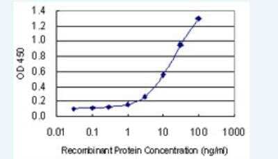 Western Blot: E2F3 Antibody (3C11) [H00001871-M04-100ug] - Detection limit for recombinant GST tagged E2F3 is 0.3 ng/ml as a capture antibody.