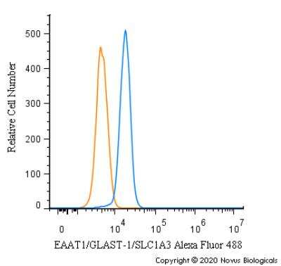 Flow Cytometry: EAAT1/GLAST-1/SLC1A3 Antibody [Alexa Fluor® 488] [NB100-1869AF488] - An intracellular stain was performed on Hek293 cells with EAAT1/GLAST-1/SLC1A3 Antibody NB100-1869AF488 (blue) and a matched isotype control (orange). Cells were fixed with 4% PFA and then permeabilized with 0.1% saponin. Cells were incubated in an antibody dilution of 5 ug/mL for 30 minutes at room temperature. Both antibodies were conjugated to Alexa Fluor 488.