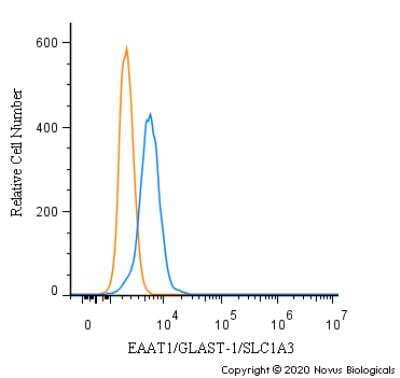 Flow Cytometry: EAAT1/GLAST-1/SLC1A3 Antibody [NBP3-05771] - An intracellular stain was performed on U937 cells with SLC1A3 Antibody NBP3-05771 (blue) and a matched isotype control (orange). Cells were fixed with 4% PFA and then permeabilized with 0.1% saponin. Cells were incubated in an antibody dilution of 1.0 ug/mL for 30 minutes at room temperature, followed by Rabbit IgG (H+L) Cross-Adsorbed Secondary Antibody, Dylight 550 (SA5-10033, Thermo Fisher).