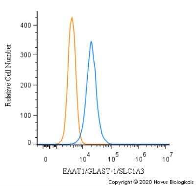 Flow Cytometry: EAAT1/GLAST-1/SLC1A3 Antibody [NBP3-05771] - An intracellular stain was performed on Hek293 cells with SLC1A3 Antibody NBP3-05771 (blue) and a matched isotype control (orange). Cells were fixed with 4% PFA and then permeabilized with 0.1% saponin. Cells were incubated in an antibody dilution of 1.0 ug/mL for 30 minutes at room temperature, followed by Rabbit IgG (H+L) Cross-Adsorbed Secondary Antibody, Dylight 550 (SA5-10033, Thermo Fisher).