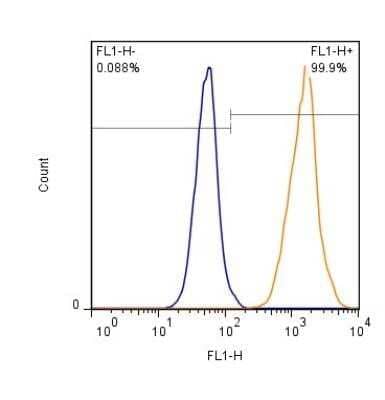 Flow (Intracellular): EAAT1/GLAST-1/SLC1A3 Antibody [NB100-1869] - Staining of HEK293 cells (1 x 10^6 cells/mL) with AF488 conjugated EAAT-1 antibody (orange) stained at a dilution of 1:500. Shown with rIgG (AF488) isotype control (blue).