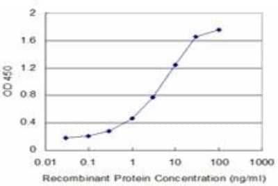 ELISA: EAAT2/GLT1 Antibody (1D8) [H00006506-M07] - Detection limit for recombinant GST tagged SLC1A2 is approximately 0.03ng/ml as a capture antibody.