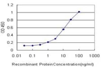 ELISA: EAAT2/GLT1 Antibody (4G8) [H00006506-M10] - Detection limit for recombinant GST tagged SLC1A2 is approximately 0.3ng/ml as a capture antibody.