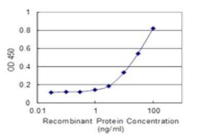 Sandwich ELISA Capture: EBF-1 Antibody (1C12) [H00001879-M01J] - Detection limit for recombinant GST tagged EBF-1 is 0.1 ng/ml as a capture antibody.