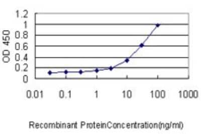 Sandwich ELISA: EBF-1 Antibody (1G8) [H00001879-M02] - Detection limit for recombinant GST tagged EBF1 is approximately 0.1ng/ml as a capture antibody.