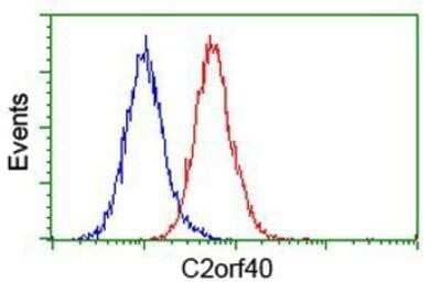 Flow Cytometry: ECRG4 Antibody (OTI3B10) - Azide and BSA Free [NBP2-72294] - Analysis of Hela cells, using anti-ECRG4 antibody, (Red), compared to a nonspecific negative control antibody (Blue).