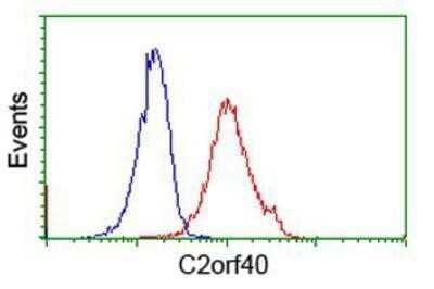 Flow Cytometry: ECRG4 Antibody (OTI3B10) - Azide and BSA Free [NBP2-72294] - Analysis of Jurkat cells, using anti-ECRG4 antibody, (Red), compared to a nonspecific negative control antibody (Blue).
