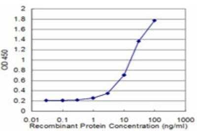 ELISA: EEF1D Antibody (4B12) [H00001936-M04] - Detection limit for recombinant GST tagged EEF1D is approximately 1ng/ml as a capture antibody.