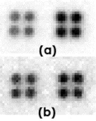 Dot Blot: EGF Antibody [26610002] - The anti-EGF antibody (left quadruplicate spots at each panel) or control antibody (right quadruplicate spots at each panel) were printed on membranes at 10 ng/spot.  The membranes were incubated with biotinylated cell lysate (50 ug per membrane), followed by probing with streptavidin-HRP and CCD camera image acquisition.  (a), Cell lysate from Jurkat cells; (b), Cell lysate from 293T cells.   Data courtesy of a SDI customer.