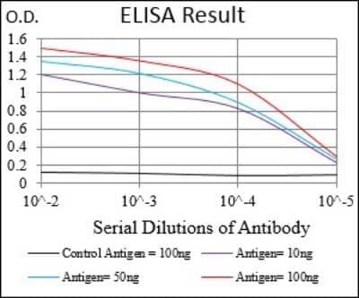 ELISA: EGF R/ErbB1 Antibody (5E10D3) [NBP2-37326] - Red: Control Antigen (100ng); Purple: Antigen (10ng); Green: Antigen (50ng); Blue: Antigen (100ng);