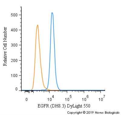 Flow Cytometry: EGFR Antibody (DH8.3) [DyLight 550] [NBP2-50599R] - An intracellular stain was performed on A431 cells with EGFR [DH8.3] Antibody NBP2-50599R (blue) and a matched isotype control (orange). Cells were fixed with 4% PFA and then permeabilized with 0.1% saponin. Cells were incubated in an antibody dilution of 5 ug/mL for 30 minutes at room temperature. Both antibodies were conjugated to DyLight 550.