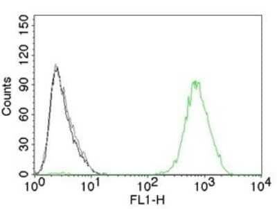 Flow Cytometry: EGFR Antibody (GFR450) [NBP2-29440] - Flow Cytometry of human EGFR on A431 cells. Black: cells alone; Grey: Isotype Control; Green: AF488-labeled EGFR Antibody (GFR450).