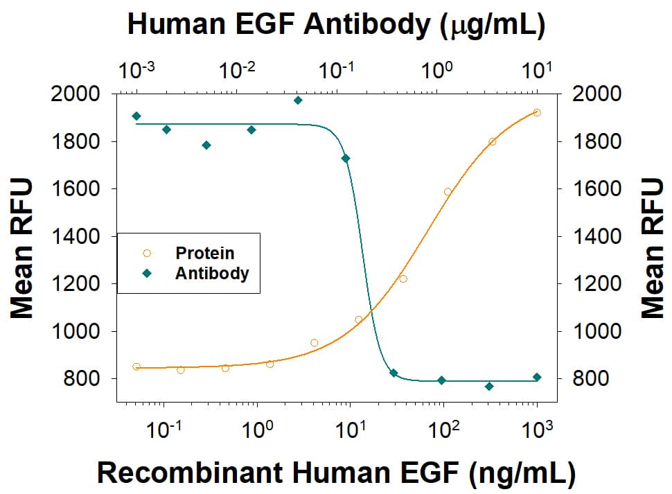 Recombinant Human EGF (Catalog # 236-EG) stimulates proliferation in the Balb/3T3 mouse embryonic fibroblast cell line in a dose-dependent manner (orange line). Proliferation elicited by Recombinant Human EGF (2 ng/mL) is neutralized (green line) by increasing concentrations of Goat Anti-Human EGF Antigen Affinity-purified Polyclonal Antibody (Catalog # AF236). The ND50 is typically 0.040 - 0.480 µg/mL.