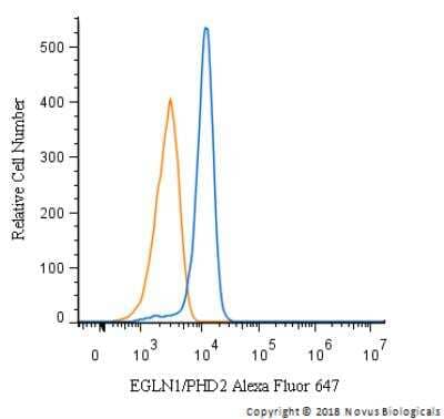 Flow Cytometry: EGLN1/PHD2 Antibody [Alexa Fluor® 647] [NB100-137AF647] - An intracellular stain was performed on Jurkat cells with EGLN1/PHD2 Antibody NB100-137AF647 (blue) and a matched isotype control (orange). Cells were fixed with 4% PFA and then permeabilized with 0.1% saponin. Cells were incubated in an antibody dilution of 5 ug/mL for 30 minutes at room temperature. Both antibodies were conjugated to Alexa Fluor 647.