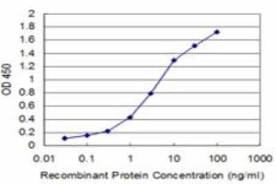 Sandwich ELISA: EGR1 Antibody (2B5) [H00001958-M01] - Detection limit for recombinant GST tagged EGR1 is approximately 0.1ng/ml as a capture antibody.