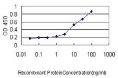 Sandwich ELISA: EI2BL Antibody (2D11-1G4) [H00084245-M01] - Detection limit for recombinant GST tagged MGC3207 is approximately 0.1ng/ml as a capture antibody.