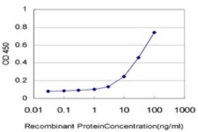 Sandwich ELISA: EIF5 Antibody (2E6-4C12) [H00001983-M01] - Detection limit for recombinant GST tagged EIF5 is approximately 1ng/ml as a capture antibody.