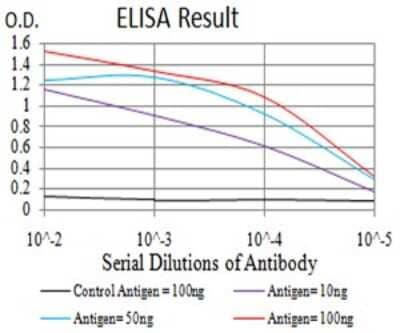 ELISA EIF5 Antibody (6D6H11) - BSA Free