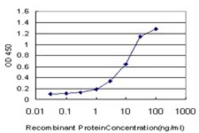 Sandwich ELISA: ELAC1 Antibody (1G2) [H00055520-M01] - Detection limit for recombinant GST tagged ELAC1 is approximately 0.3ng/ml as a capture antibody.