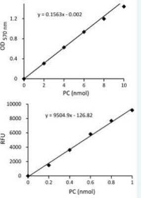 ELISA: ELISA Kit [KA0827] - The standard curve is for the purpose of illustration only and should not be used to calculate unknowns. A standard curve should be generated each time the assay is performed.