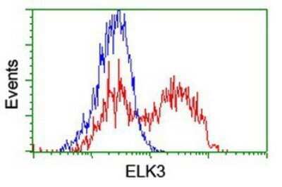 Flow Cytometry: ELK3 Antibody (OTI1H3) - Azide and BSA Free [NBP2-70643] - HEK293T cells transfected with either overexpression plasmid (Red) or empty vector control plasmid (Blue) were immunostaining by anti-ELK3 antibody, and then analyzed by flow cytometry.