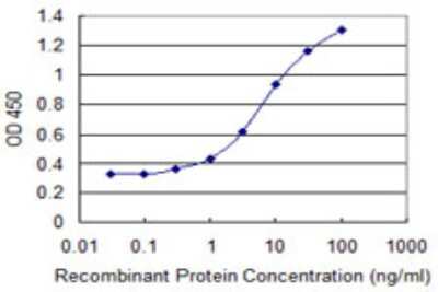 Sandwich ELISA: ELMO2 Antibody (3G7) [H00063916-M02] - Detection limit for recombinant GST tagged ELMO2 is 0.1 ng/ml as a capture antibody.