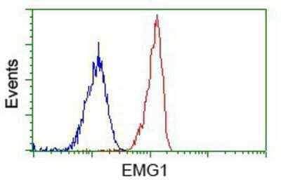 Flow Cytometry EMG1 Antibody (OTI1B8)