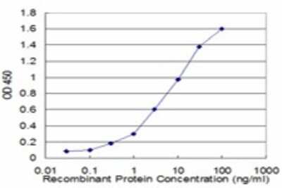 Sandwich ELISA: ENO3 Antibody (3C6) [H00002027-M04] - Detection limit for recombinant GST tagged ENO3 is approximately 0.3ng/ml as a capture antibody.