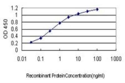 ELISA: ENO3 Antibody (5D1) [H00002027-M01] - Detection limit for recombinant GST tagged ENO3 is approximately 0.03ng/ml as a capture antibody.