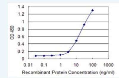 Sandwich ELISA: EOMES Antibody (1A8) [H00008320-M12] - Detection limit for recombinant GST tagged EOMES is 1 ng/ml as a capture antibody.