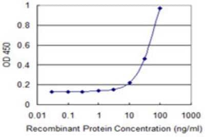 Sandwich ELISA: EOMES Antibody (1D5) [H00008320-M16] - Detection limit for recombinant GST tagged EOMES is 3 ng/ml as a capture antibody.