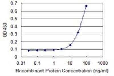 ELISA: EOMES Antibody (2D3) [H00008320-M14] - Detection limit for recombinant GST tagged EOMES is 3 ng/ml as a capture antibody.
