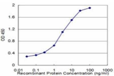 ELISA: EPB41L1 Antibody (2D10) [H00002036-M09] - Detection limit for recombinant GST tagged EPB41L1 is approximately 0.03ng/ml as a capture antibody.