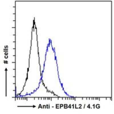 Flow Cytometry: EPB4IL2 Antibody [NBP1-06034] - Flow cytometric analysis of paraformaldehyde fixed A431 cells (blue line), permeabilized with 0.5% Triton. Primary incubation 1hr (10 ug/mL) followed by Alexa Fluor 488 secondary antibody (1 ug/mL). IgG control: Unimmunized goat IgG (black line) followed by Alexa Fluor 488 secondary antibody.