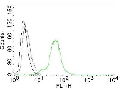 Flow Cytometry: ER beta/NR3A2 Antibody (ERb455) - Azide and BSA Free [NBP2-33066] - Flow Cytometry of human ER beta on BT474 cells. Black: cells alone; Grey: Isotype Control; Green: AF488-labeled ER beta/NR3A2 Mouse Monoclonal Antibody (ERb455).